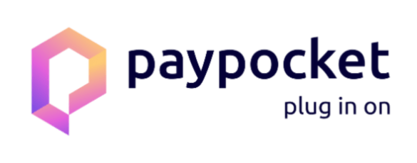 Pay Pocket - AWS Infrastructure and CICD Management by Fusion Flow